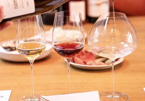Wine Tasting 101