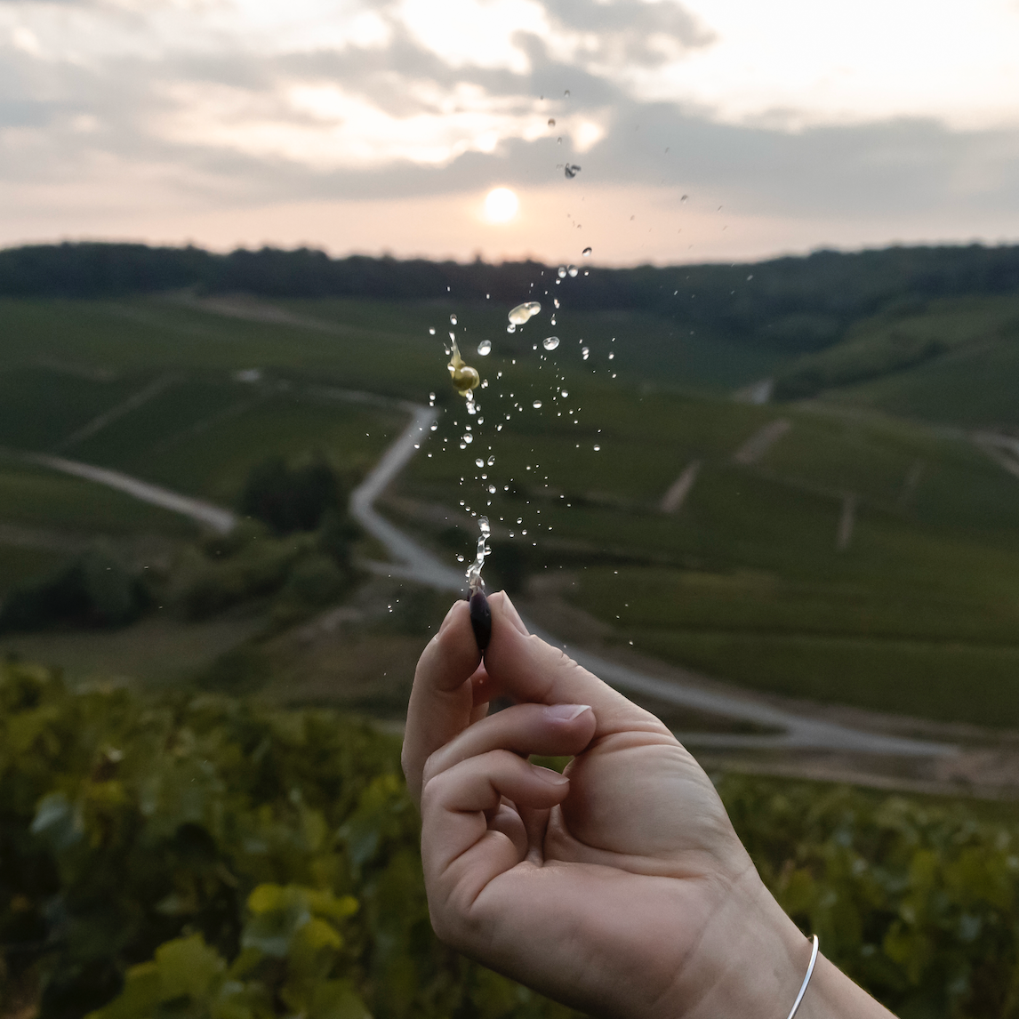 Summer Champagne Tasting (Saturday, June 20)