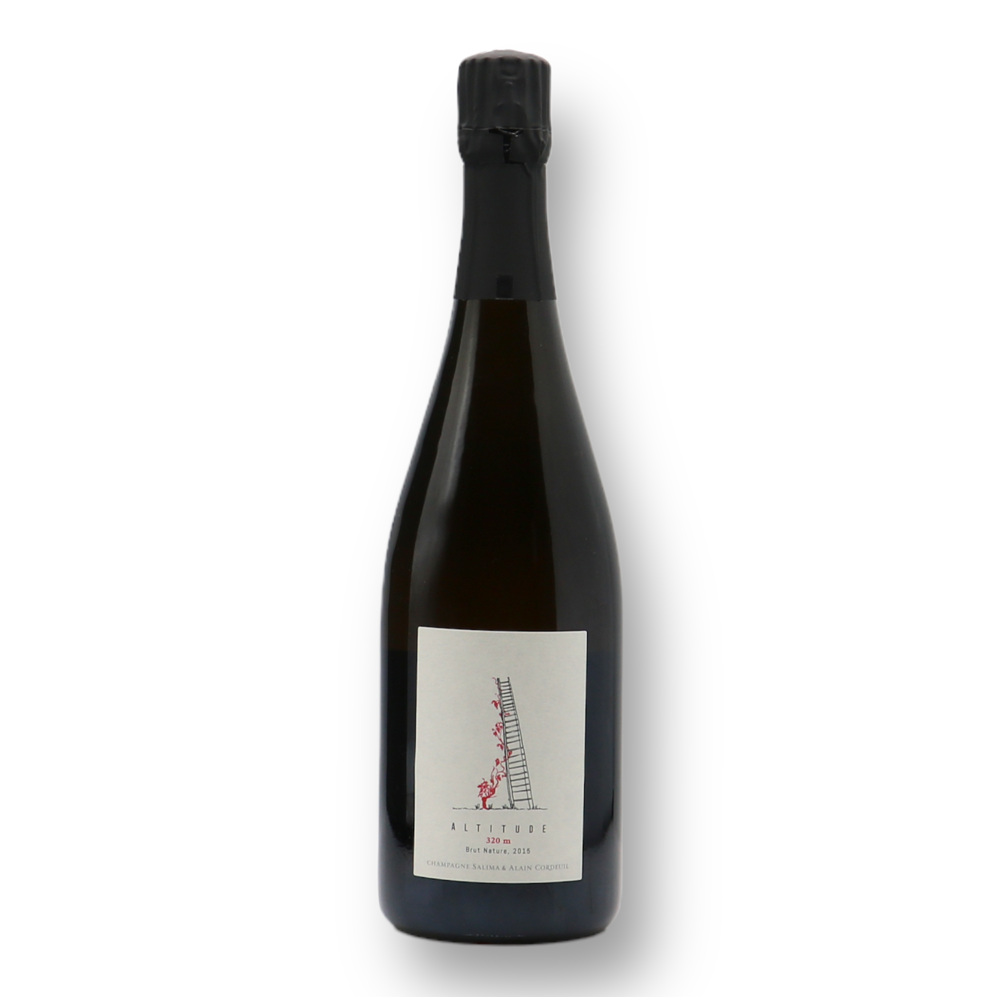 Vintage 2015 Altitude 320m