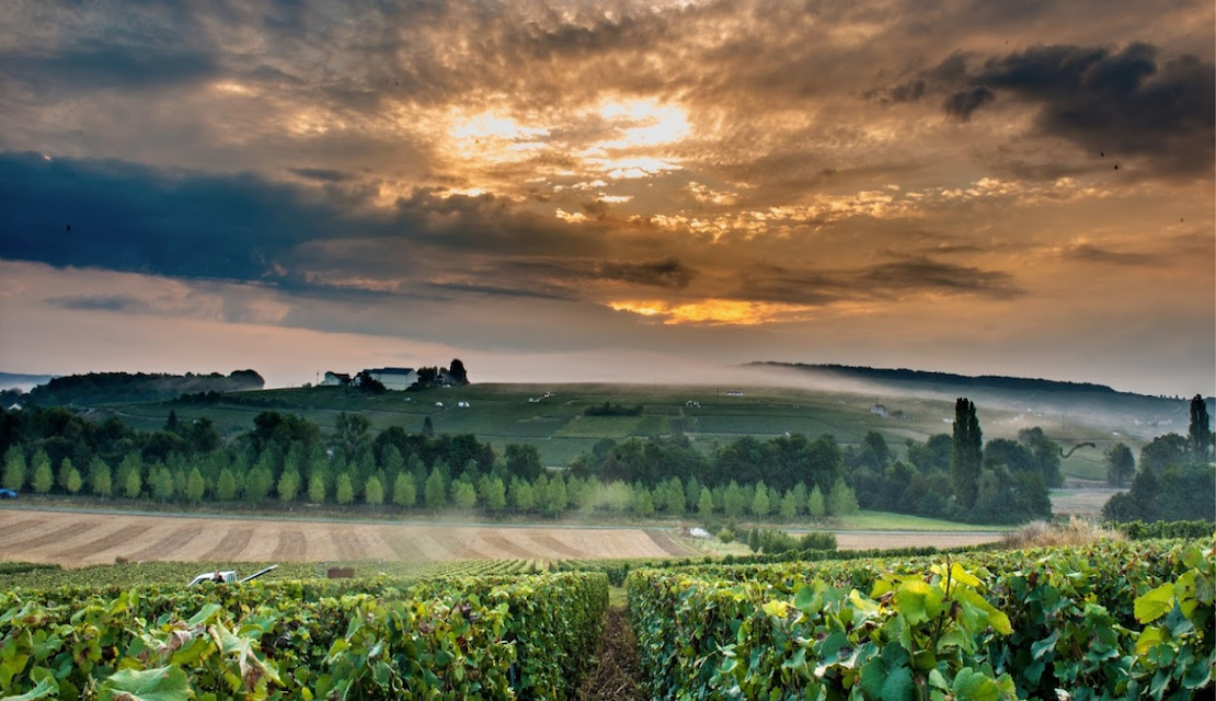 Grande Réserve brut