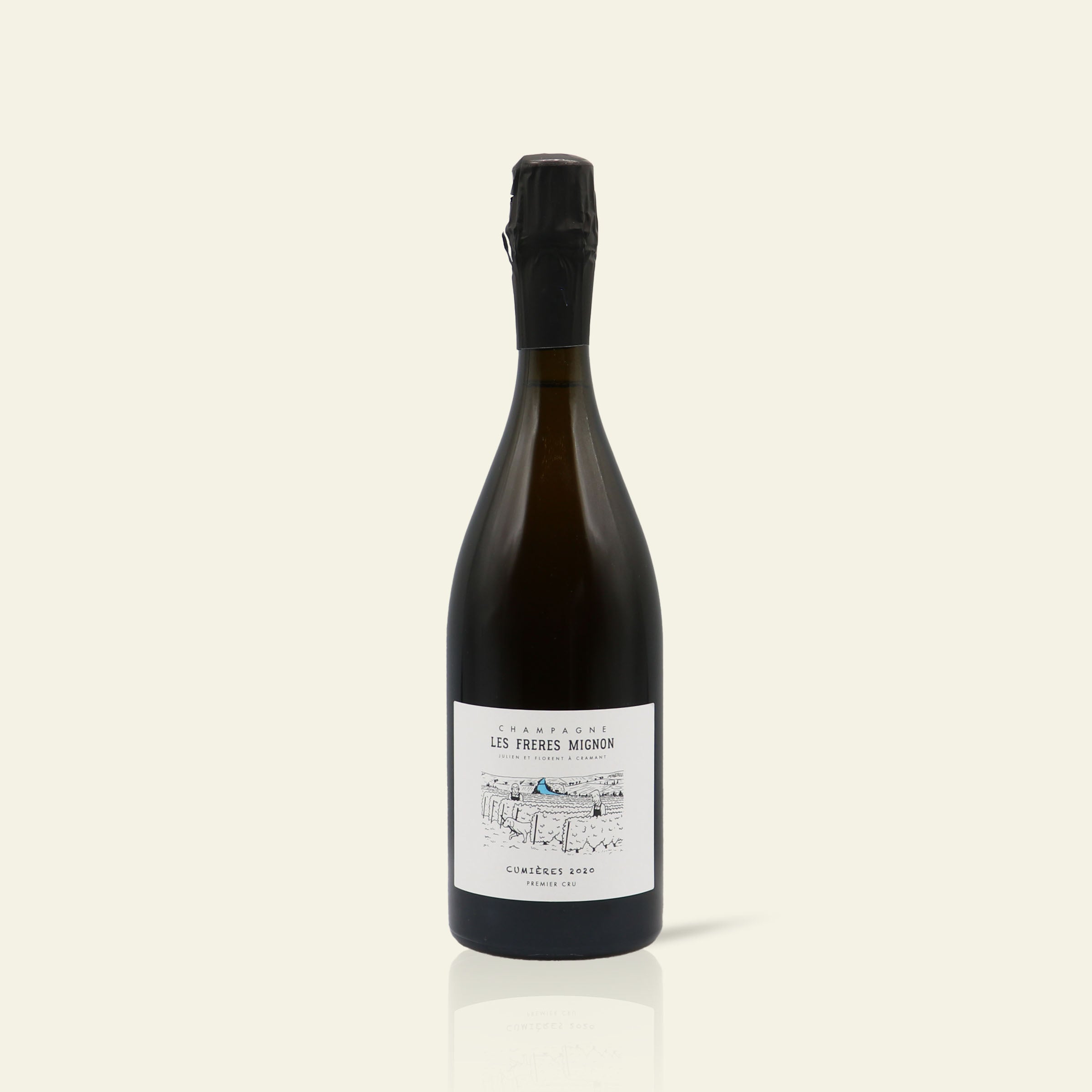 Vintage 2020 Cumières