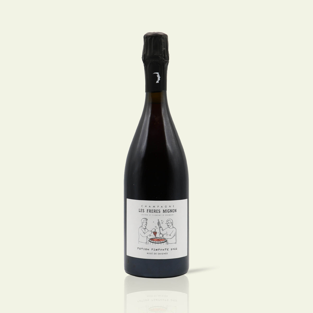 Vintage 2022 Potion Pimpante rosé