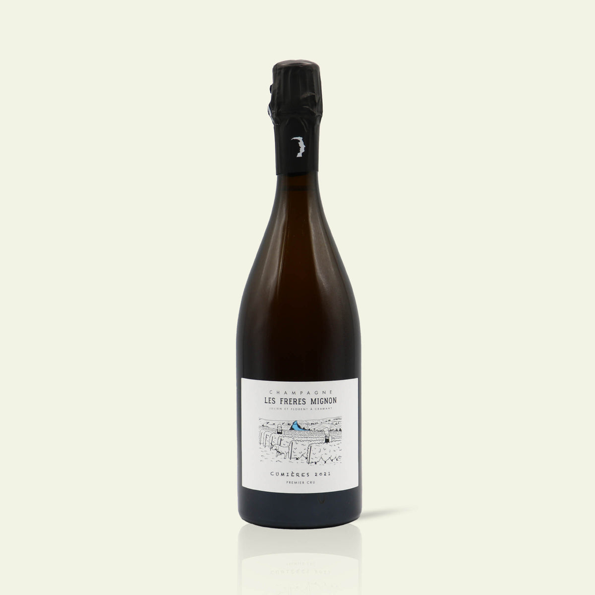 Vintage 2021 Cumières