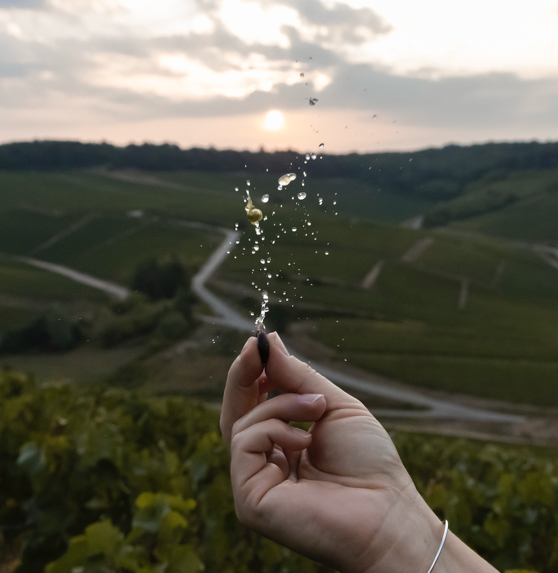 Proeverij 'Zomerse champagnes' (zaterdag 20 juni)