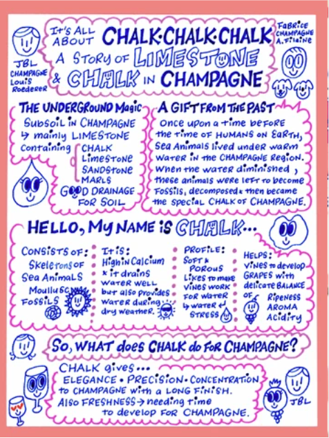 La Champagne, le champagne and les champenois - Yoko & Champagne Friends