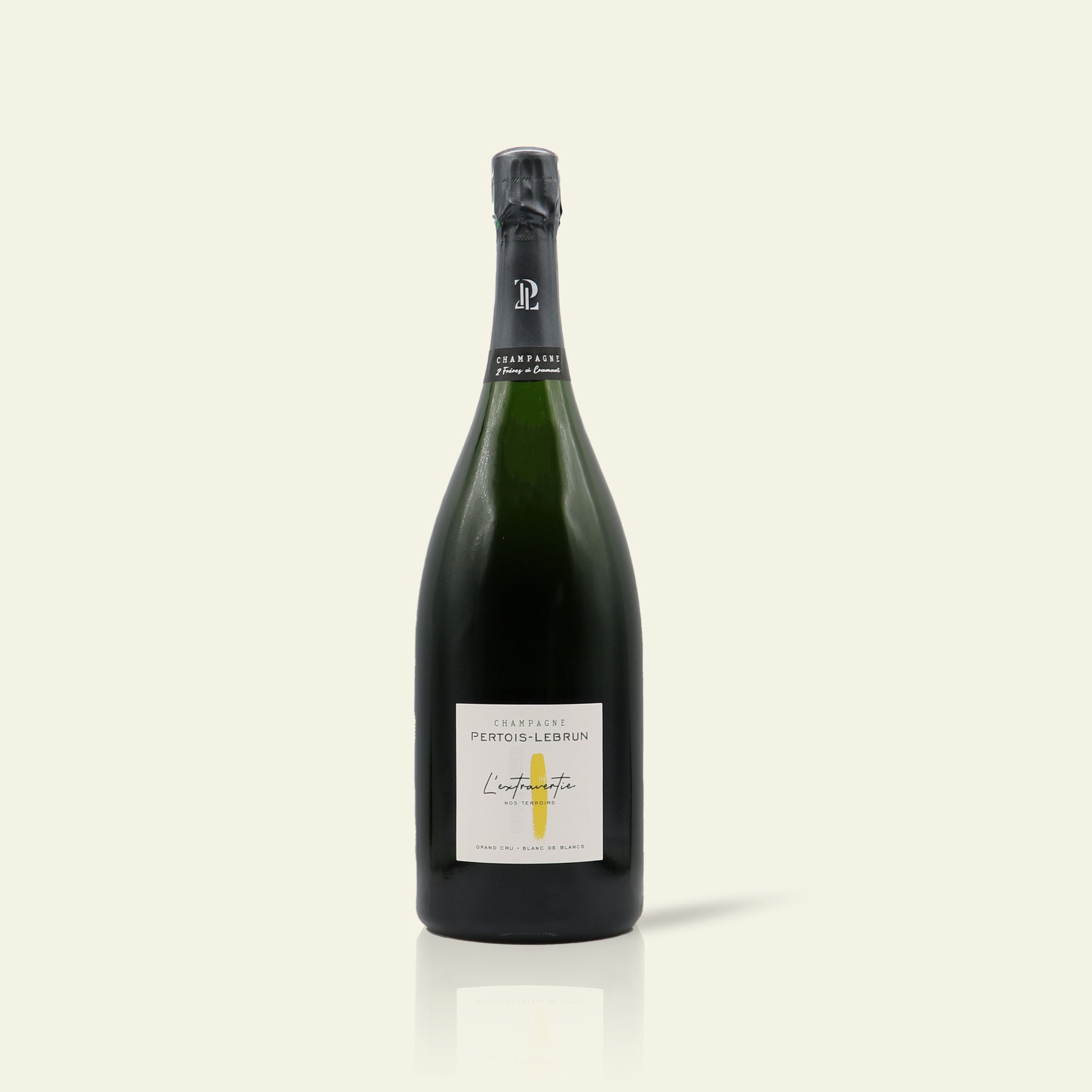 L'extravertie '19 magnum (1.5 litre)