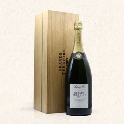 Vintage 2003 Grands Terroirs magnum (1,5 liter) in giftbox