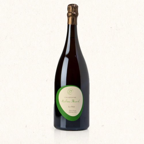 Vintage 2016 Les Puits blanc de noirs magnum (1.5 liter)