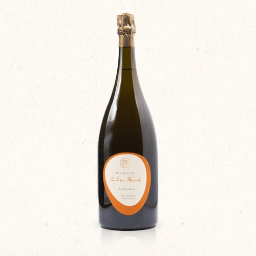 Vintage 2017 Cuvée MIX Blanc de Blancs magnum (1,5 liter)