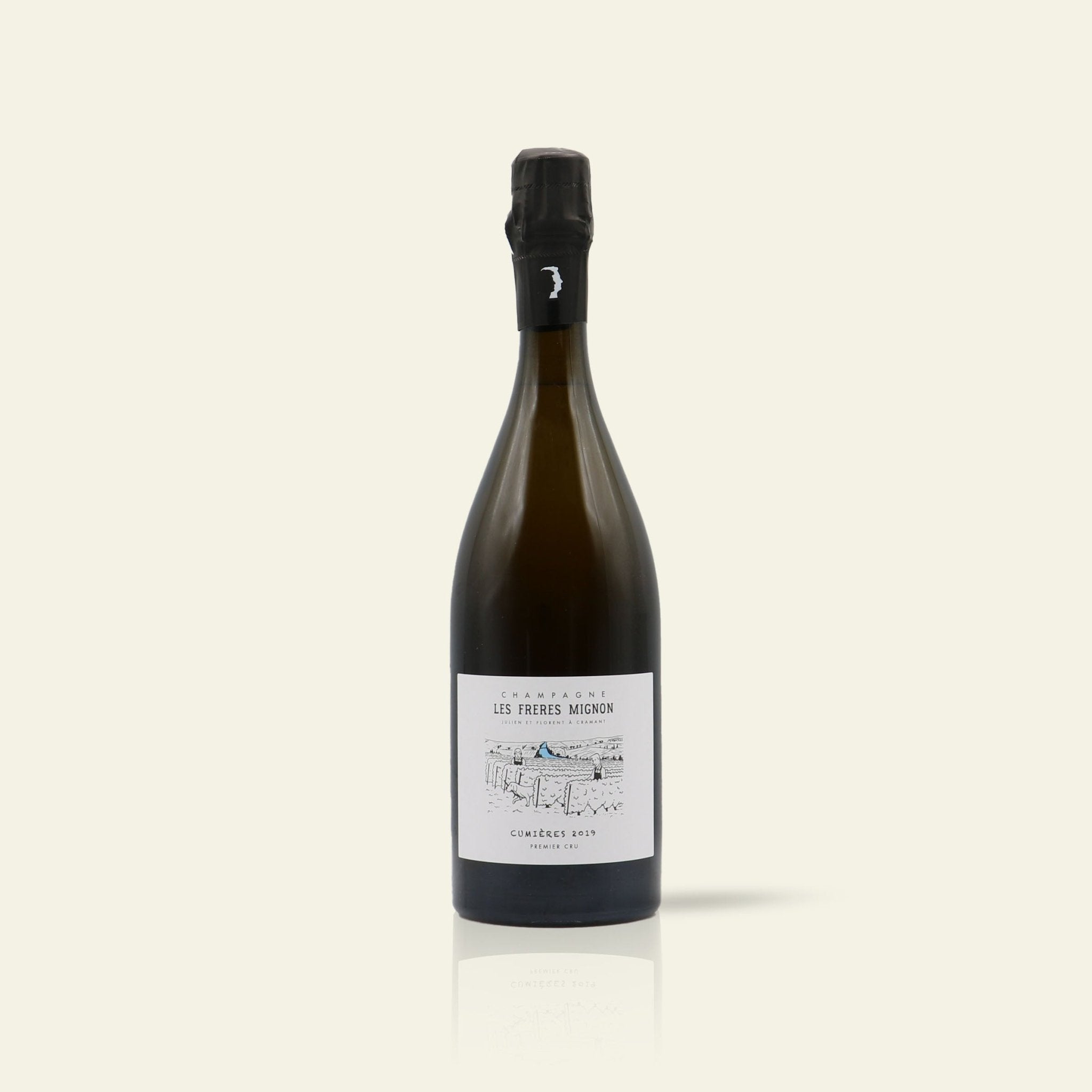 Vintage 2019 Terroir de Cumières